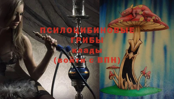 гидропоника Армянск