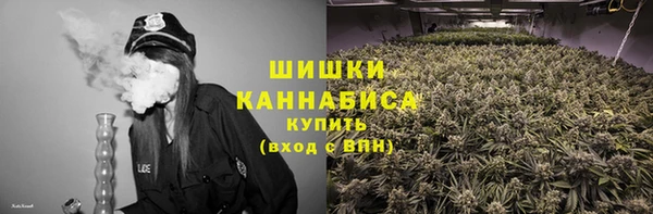 прущие крисы Арсеньев