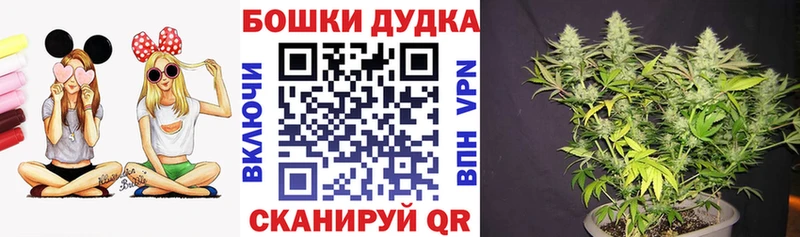цены наркотик hydra ссылка Каннабис планчик Лабытнанги